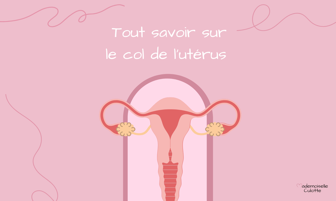 tout savoir sur le col de l'utérus