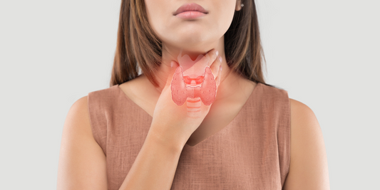 Quel est le lien entre thyroïde et troubles menstruels ?