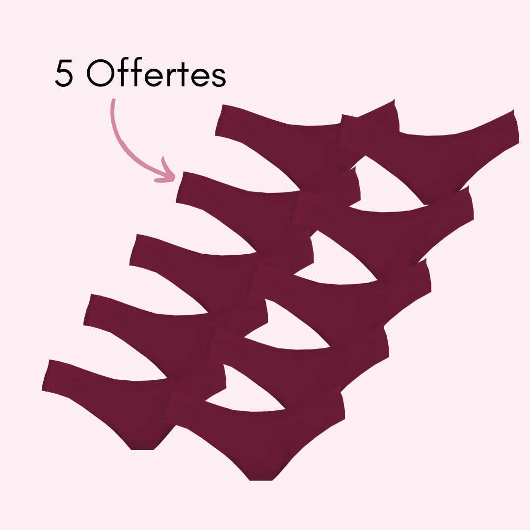 Culotte menstruelle Roxane Violet pack x10