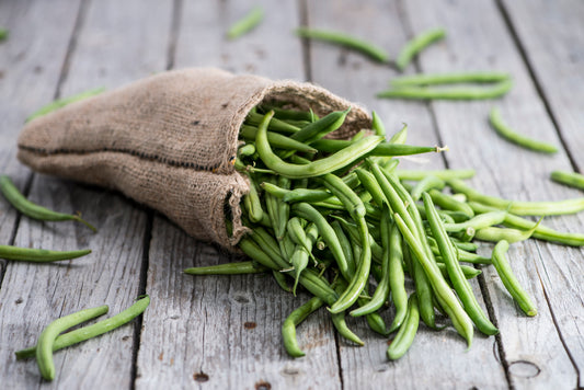 Haricot vert