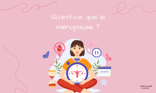 Qu'est-ce que la ménopause ? Les mécanismes expliqués