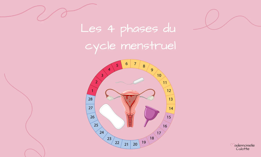 4 phases du cycle menstruel