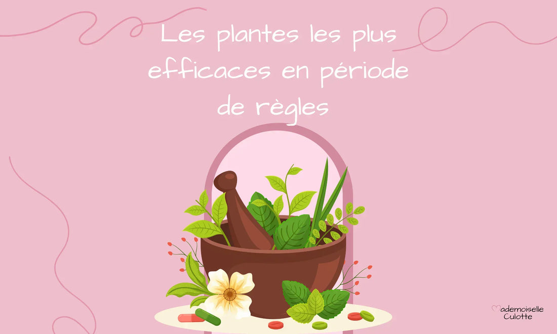 les plantes les plus efficaces contre les règles 