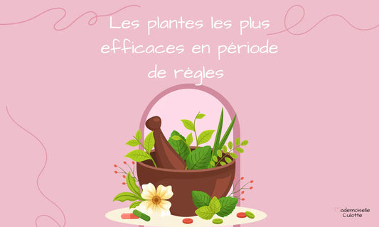 les plantes les plus efficaces contre les règles 