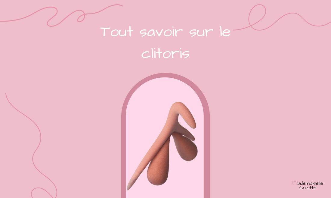 tout savoir sur le clitoris