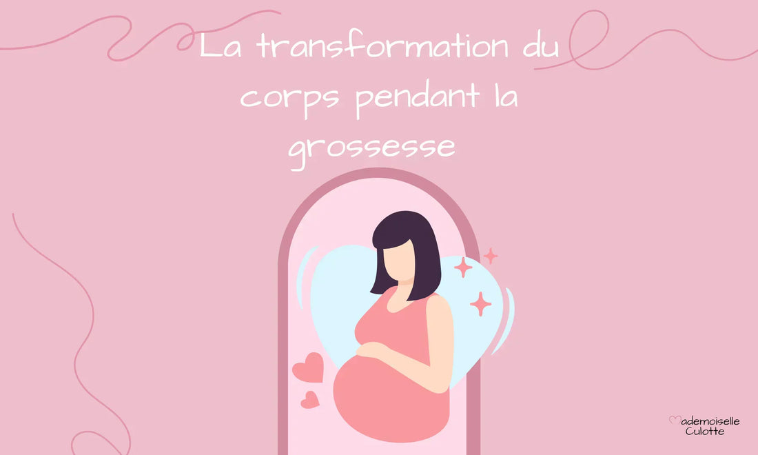 transformation du corps de la femme enceinte pendant la grossese