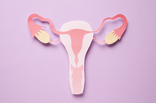 uterus anteverse